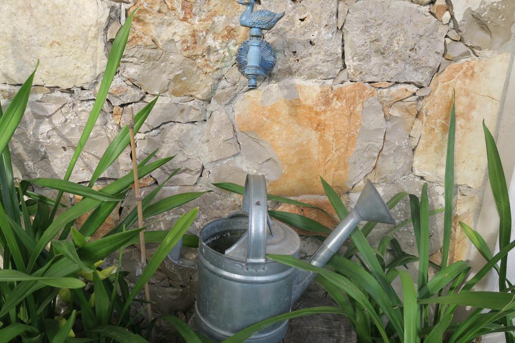 Noz Por Ca... Turismo Em Espaco Rural Alcaria  Bagian luar foto